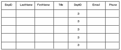Results from the SELECT query